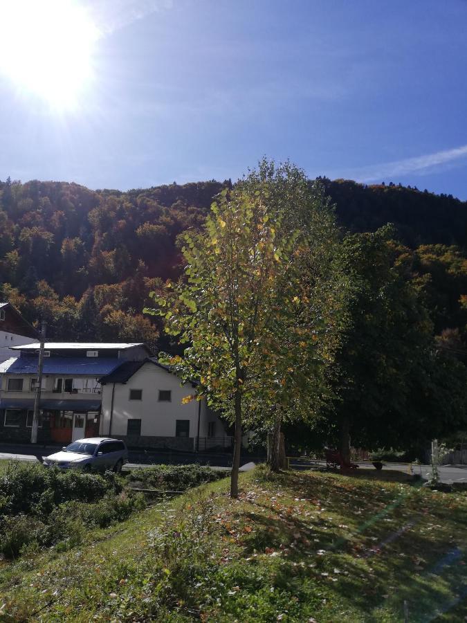 Apartament Langa Castan Lägenhet Azuga Exteriör bild