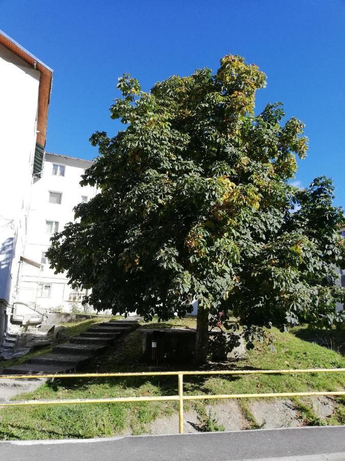 Apartament Langa Castan Lägenhet Azuga Exteriör bild